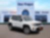 ZACNJBD11LPL95061-2020-jeep-renegade-0