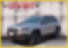1C4PJMBX8MD101315-2021-jeep-cherokee-0