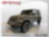 1C4HJXDN0MW531491-2021-jeep-wrangler-unlimited-0
