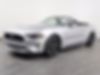 1FATP8FF2K5138251-2019-ford-mustang-1
