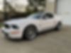 1ZVHT88S075331878-2007-ford-mustang-0