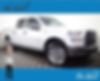 1FTEW1EP0GFD37565-2016-ford-f-150-0