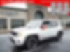 ZACNJABB6LPM01345-2020-jeep-renegade-0