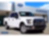 1FTEW1CPXFKD00242-2015-ford-f-150-0