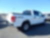 1FTEW1E84HKD74913-2017-ford-f-150-2