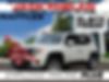 ZACNJBBB5LPL11920-2020-jeep-renegade-0