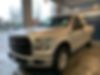 1FTEX1EP1HFA11126-2017-ford-f-150-2