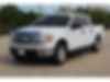 1FTFW1CF2DFB23140-2013-ford-f-150-2