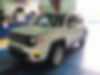 ZACNJBBB3KPK12012-2019-jeep-renegade