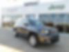 ZACNJDBB7MPM15354-2021-jeep-renegade-0