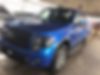 1FTFW1ET4DKD65633-2013-ford-f-150-0