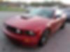 1ZVHT82H795123576-2009-ford-mustang-0
