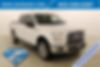 1FTEW1EPXHFC41217-2017-ford-f-150-0