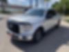 1FTEW1CG0GKE60244-2016-ford-f-150-2