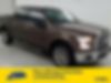 1FTEW1CF5FKD04979-2015-ford-f-150