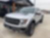1FTFW1R66BFD11549-2011-ford-f-150-0