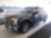 1FTEW1CP0GFA59673-2016-ford-f-150-0
