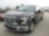 1FTEW1CP0FKF08663-2015-ford-f-150-0