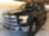 1FTEW1CF0FFB25807-2015-ford-f-150-0