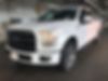 1FTEW1CPXHKD10417-2017-ford-f-150-0