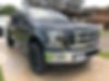 1FTEW1CG0GFC31328-2016-ford-f150-1