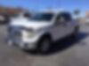 1FTEW1EP1GKF07018-2016-ford-f-150-0