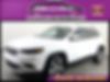 1C4PJLDB5LD502914-2020-jeep-limited