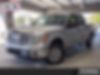 1FTFW1CT5DFB14986-2013-ford-f-150-0