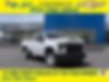 1GC5WLE79MF113007-2021-chevrolet-work-truck