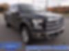 1FTEW1EF7GFD09835-2016-ford-f-150-1