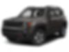 ZACNJDC10MPM26010-2021-jeep-renegade