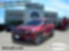 1C4PJMDX1LD503916-2020-jeep-cherokee-0
