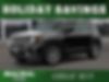 ZACNJAB18LPL02985-2020-jeep-renegade-0
