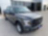 1FTEW1EP1HKD15454-2017-ford-f-150-0