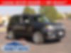 ZACNJBD15LPL91160-2020-jeep-renegade-0