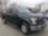 1FTEW1EP9HFA01561-2017-ford-f-150-0