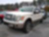 1FTFW1ET2CKD85040-2012-ford-f-150