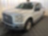 1FTEW1CP5GKD30265-2016-ford-f-150-0