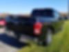 1FTEW1EP0HFB74546-2017-ford-f-150-1