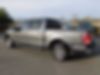 1FTEW1CP0GFA59673-2016-ford-f-150-2