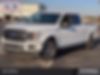 1FTEW1CP1LKE69397-2020-ford-f-150-0