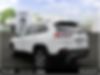 1C4PJMDX7MD161941-2021-jeep-cherokee-2