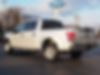 1FTEW1E82GFB54855-2016-ford-f-150-2