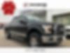 1FTEW1EP5HKD72059-2017-ford-f-150-0