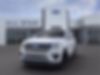 1FMJU1HTXLEB01076-2020-ford-expedition-2