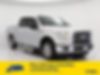 1FTEW1CFXGKF46653-2016-ford-f-150-0