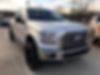 1FTEW1EP0GFC82096-2016-ford-f-150-0