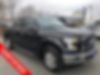 1FTEW1EP9HFA01561-2017-ford-f-150-0