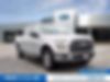 1FTEW1EP0GFD35301-2016-ford-f-150-0