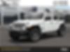 1C4HJXDG5MW607708-2021-jeep-wrangler-unlimited-2